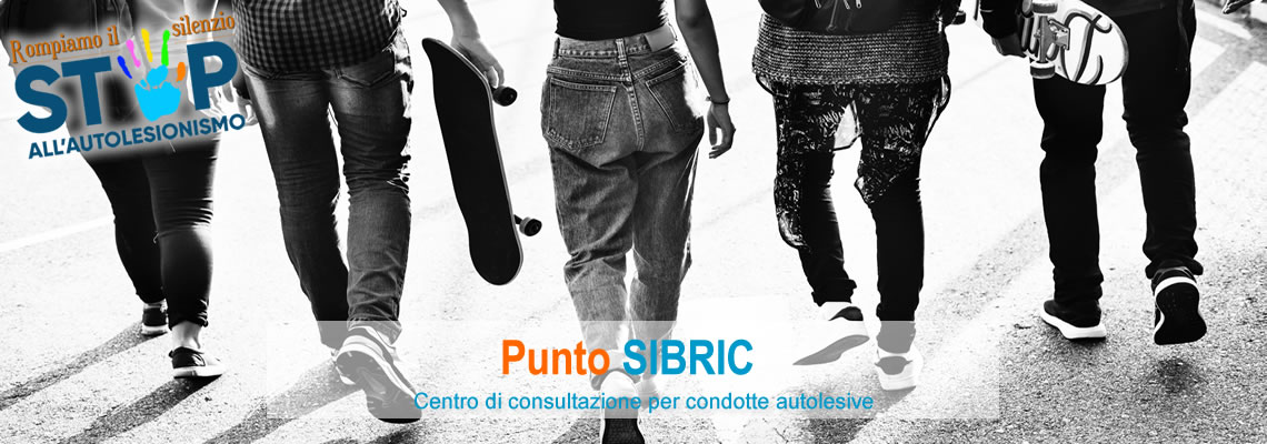 Punto SIBRIC