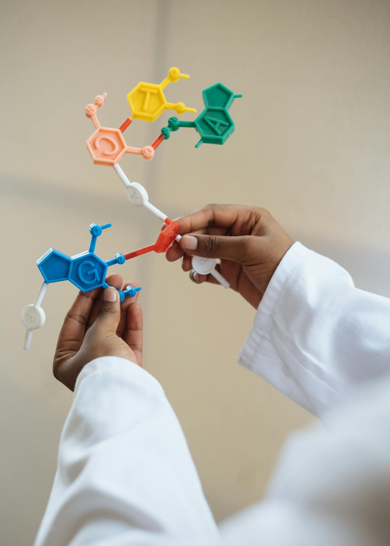 Foto di RF._.studio: https://www.pexels.com/it-it/foto/chimico-del-raccolto-che-tiene-in-mano-il-modello-della-molecola-3825527/