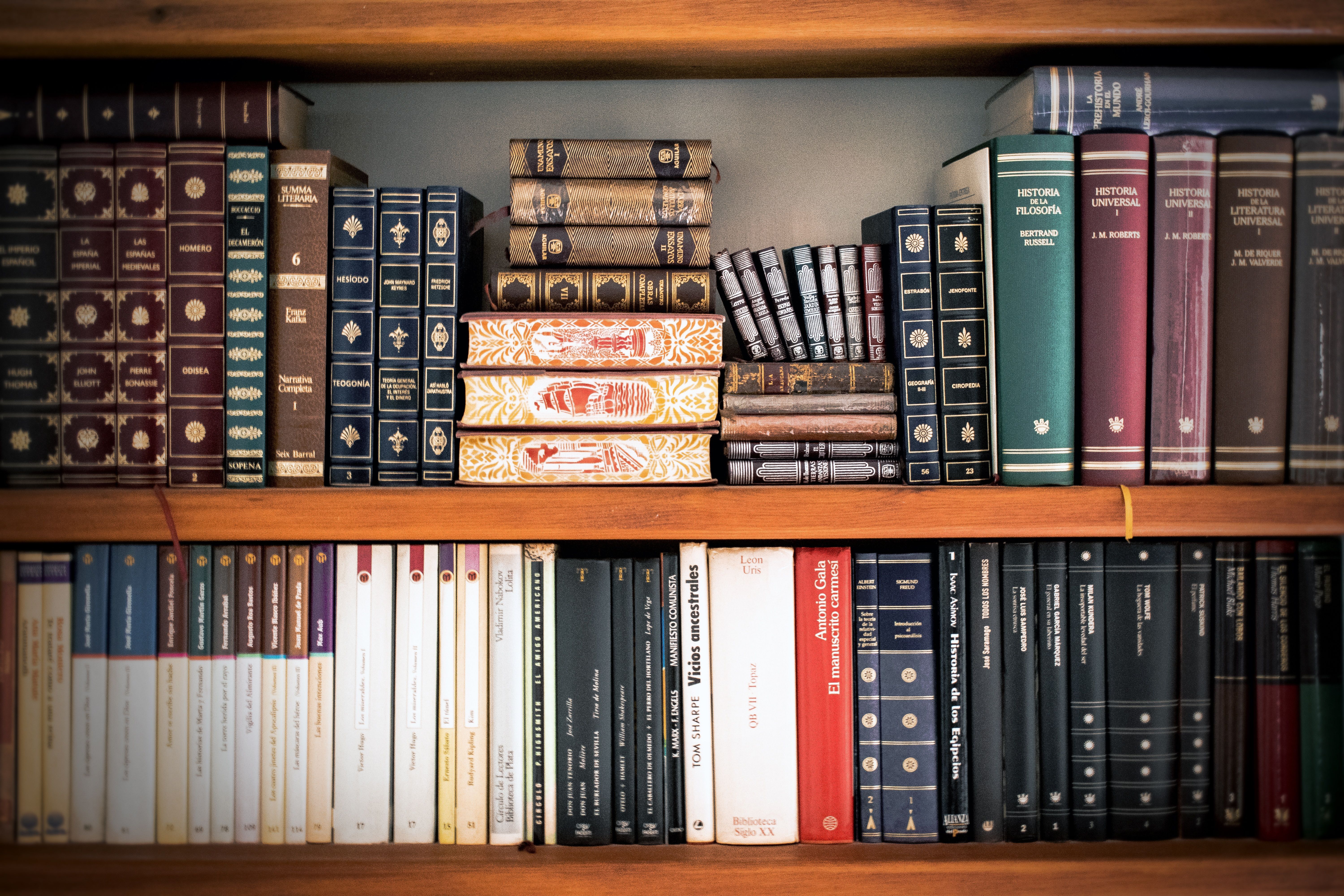 Foto di Pixabay da Pexels: https://www.pexels.com/it-it/foto/libri-assortiti-sugli-scaffali-dei-libri-207662/